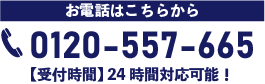 0120-557-665